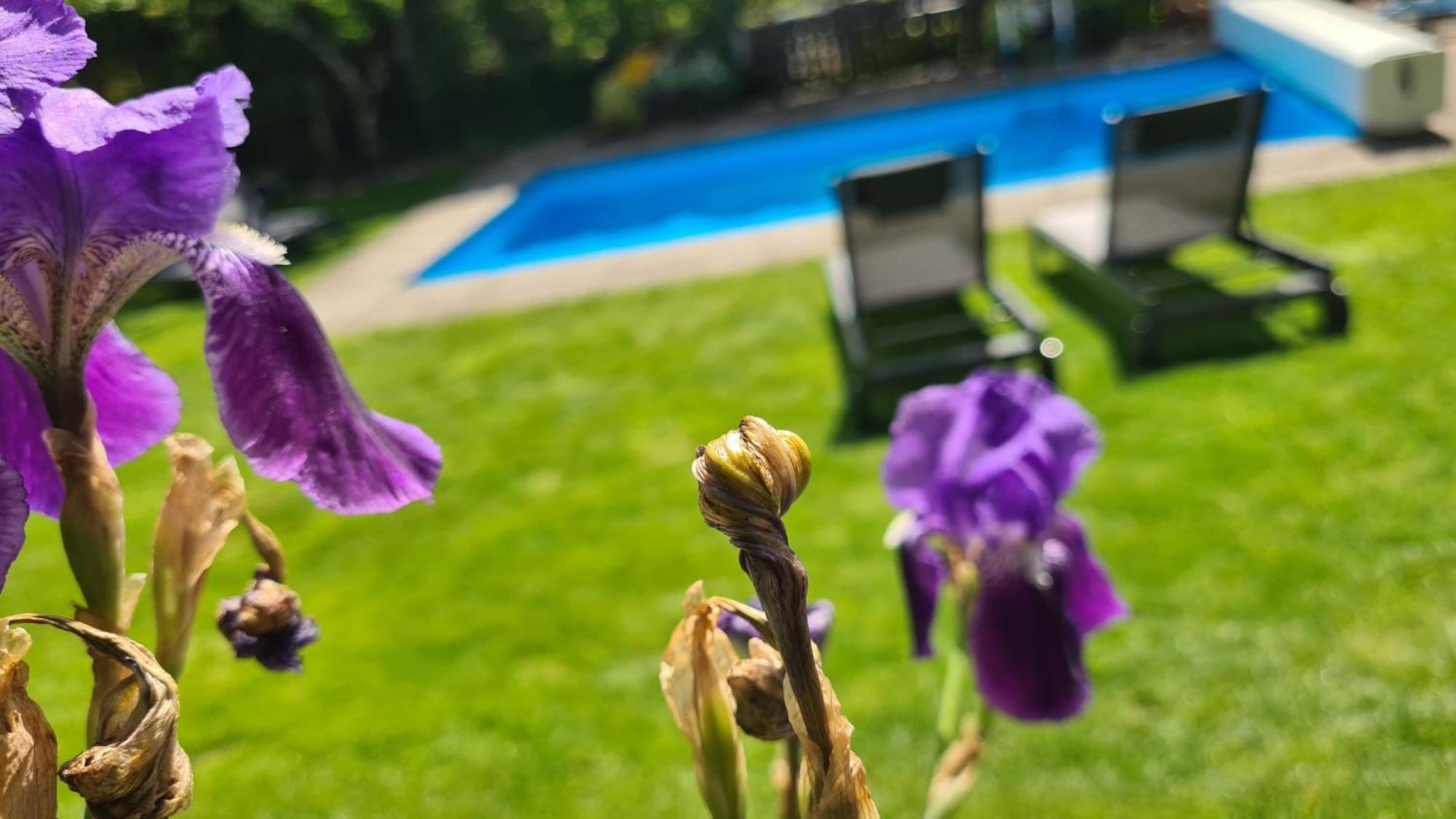 Appartments Innerhofer Ріф'яно Екстер'єр фото